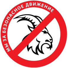 В Алматы начинается акция «Мы выбираем безопасность на дорогах»